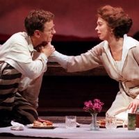 Jason Robert Brown, Carolee Carmello, Chita Rivera & More Pay Tribute to Brent Carver