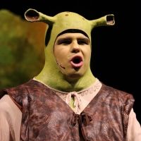 BWW Review: Arts in Motion Presents an Adorable SHREK THE MUSICAL at the PHSC…