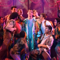 Review: JOSEPH AND THE AMAZING TECHNICOLOR DREAMCOAT at Broadway Palm Dinner Theatre