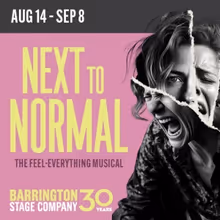 Special Offer: NEXT TO NORMAL at Barrington Stage Company