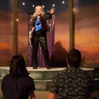 Review: TWELFTH NIGHT Celebrates Comedy at Big Idea Theatre