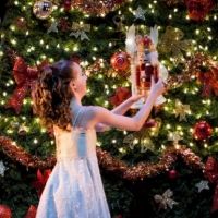 Evergreen City Ballet Presents A New Way To Experience THE NUTCRACKER