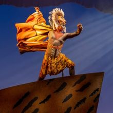 Get Your Tickets Now for THE LION KING at Popejoy Hall