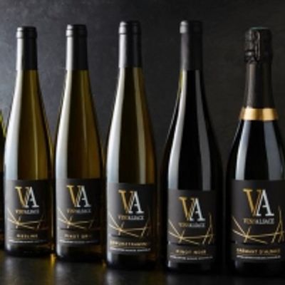 ALSACE ROCKS Wine Quiz &ndash; Which Grape Matches You?