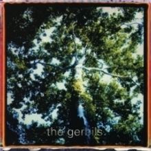 Elephant 6 Collective Label Returns With Reissue Of Debut Album From The Gerbils