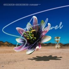 Dipha Barus Releases New Single 'Flower'