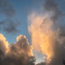 War Strings Share New Single 'Surreal'