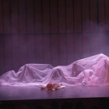 The 19th Ishara International Puppet Festival Is Coming To Delhi And Chandigarh