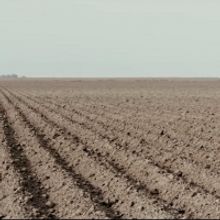 KISS THE GROUND Premieres on Netflix Sept. 22