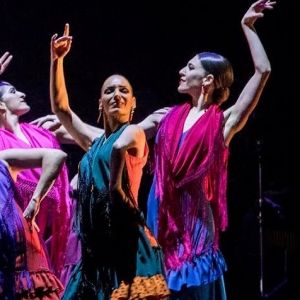 VIDEO: Flamenco Festival from National Ballet of Spain Comes To New York City Center
