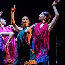 VIDEO: Flamenco Festival from National Ballet of Spain Comes To New York City Center