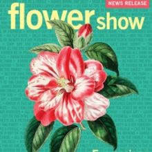Atlanta Botanical Garden Flower Show Reblooms In February