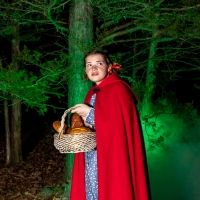 BWW Review: INTO THE WOODS at Red Curtain Theatre Get Their Wishes