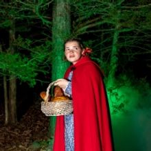 BWW Review: INTO THE WOODS at Red Curtain Theatre Get Their Wishes