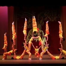 The Peking Acrobats Return To The Granada Theatre