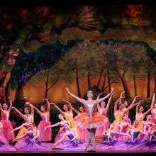 New Ballet and Symphony SJ Perform SAN JOSE NUTCRACKER Next Month