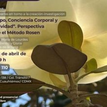 Reflexionarán En El Cico Respecto Al Cuerpo, Conciencia Corporal Y Creatividad, A Pa