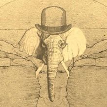 THE MARVELLOUS ELEPHANT MAN Premieres At The Melbourne International Comedy Festival
