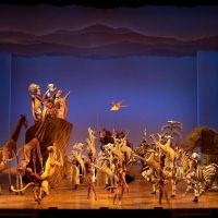 THE LION KING Returns To The Orpheum Theatre Memphis
