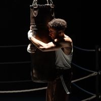 Review: THE ROYALE Packs a Punch at Edmonton's Citadel Theatre