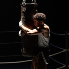 Review: THE ROYALE Packs a Punch at Edmonton's Citadel Theatre