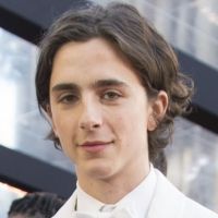 Timothée Chalamet Reveals He Has Seven Musical Numbers in WONKA