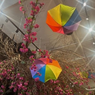 Student Blog: Pride Prevails