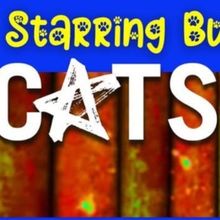 Previews: CATS at Starring Buffalo At Shea’s 710 Theatre