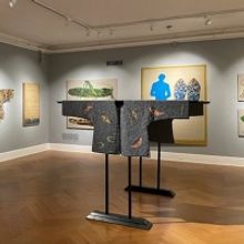 The Morris Museum Presents The Tapestries Of Jon Eric Riis