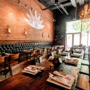 AÑEJO PHILLY Presents Tasting Party on 3/11 Featuring Rare and Unique Tequilas and Mezcals