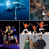 Midland Symphony Orchestra and Windows On Our World to Open Single Tickets
