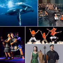Midland Symphony Orchestra and Windows On Our World to Open Single Tickets