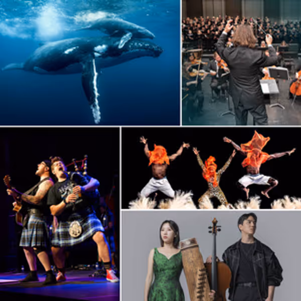 Midland Symphony Orchestra and Windows On Our World to Open Single Tickets Photo