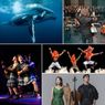 Midland Symphony Orchestra and Windows On Our World to Open Single Tickets