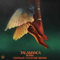 Vintage Culture Remixes BURNS Single 'Talamanca'