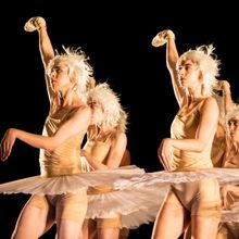 Review: SWAN LAKES AND MINUS 16 at Harbourfront Centre