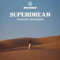 Big Wild Releases New Acoustic EP SUPERDREAM: ANALOG SESSIONS Video