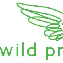 Wild Project Unveils Complete Programming For December 2023