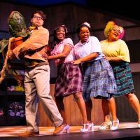BWW Review: Breathing Fresh Air Into a Cult Classic with LITTLE SHOP OF HORRORS at…