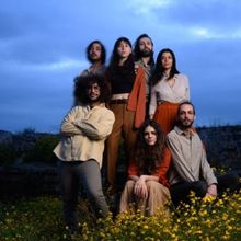 Technopolis 20 to Present Island Seeds in Concert This Month