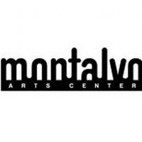 Montalvo Arts Center Postpones All Concerts, Classes, And Public Events Through…