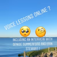BWW Blog: Voice Lessons Online? How Can I Do That?