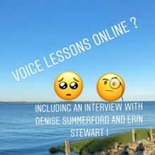 BWW Blog: Voice Lessons Online? How Can I Do That?