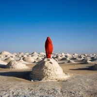 The LA Art Show to Return This Winter With a Focus on the Global Climate Crisis