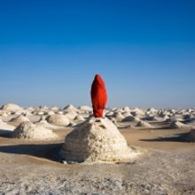 The LA Art Show to Return This Winter With a Focus on the Global Climate Crisis