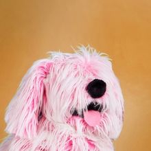 Review: THE LEGEND OF SLEEPY FLURFFY at Arkansas Museum Of Fine Arts