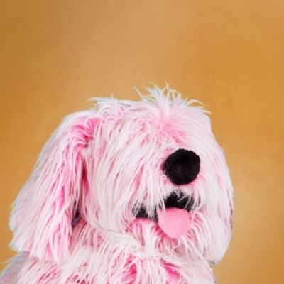 Review: THE LEGEND OF SLEEPY FLURFFY at Arkansas Museum Of Fine Arts