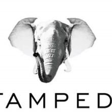 Stampede & Steel Springs Pictures to Produce Feature Film ALICE from Krystin Ver Lind