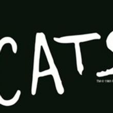 CATS is Coming to Fort Lauderdale's Broward Center