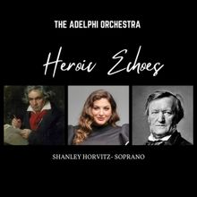 The Adelphi Orchestra Presents HEROIC ECHOES A 71st Anniversary Season Opener